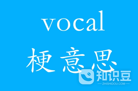 vocal是什么梗 vocal什么意思